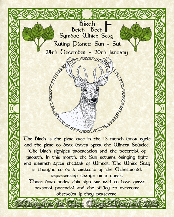 Birch-White Stag-Celtic-Lunar-Zodiac-Sign-Print-Druid-Tree-Lore Astrology Art-Dec-Jan Birthdays Pagan Altar Decor