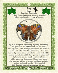 Ivy-Butterfly-Celtic-Lunar-Zodiac-Sign-Print-Druid-Tree-Lore Astrology Art- Sept-Oct Birthdays Pagan Altar Decor