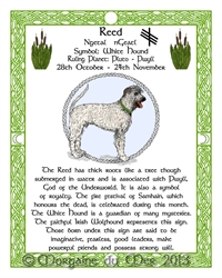 White-Hound-Reed Celtic-Lunar-Zodiac-Sign-Print-Druid-Tree-Lore Astrology Art- Oct-Nov- Birthdays Pagan Altar Decor