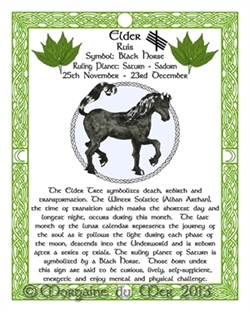 Celtic Zodiac Signs Druid Tree Lore Art Prints on magickmermaid.com
