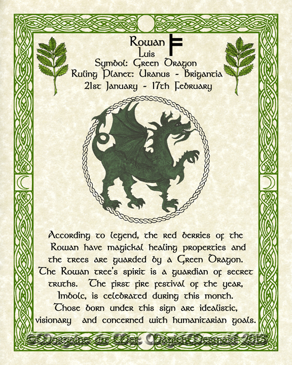 Rowan-Green-Dragon-Celtic-Lunar-Zodiac-Sign-Print-Druid-Tree-Lore Astrology Art-Jan-Feb Birthdays Pagan Altar Decor