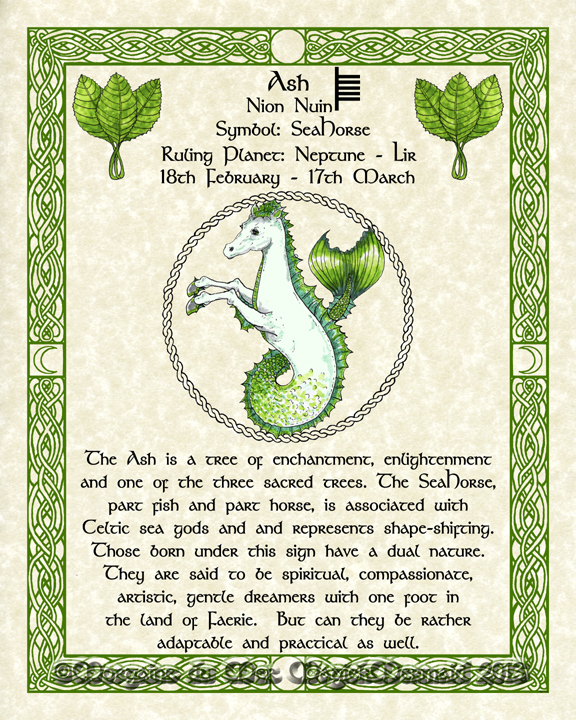 Ash Seahorse-Celtic-Lunar-Zodiac-Sign-Print-Druid-Tree-Lore Astrology Art-Feb March Birthdays Pagan Altar Decor