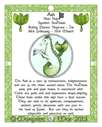 Seahorse Ash Tree-Celtic-Lunar-Zodiac-Sign-Print-Druid-Tree-Lore Astrology Art-Feb March Birthdays Pagan Altar Decor
