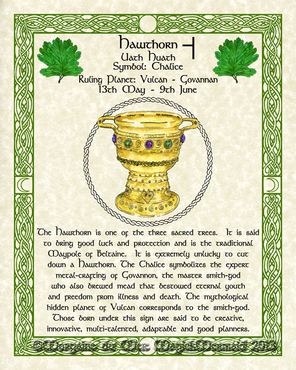 Hawthorn-Chalice-Celtic-Lunar-Zodiac-Sign-Print-Druid-Tree-Lore Astrology Art-May-June- Birthdays Pagan Altar Decor