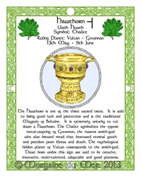Chalice-Hawthorn Celtic-Lunar-Zodiac-Sign-Print-Druid-Tree-Lore Astrology Art-May-June- Birthdays Pagan Altar Decor