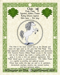 Oak-White-Horse-Celtic-Lunar-Zodiac-Sign-Print-Druid-Tree-Lore Astrology Art-June-July-Birthdays Pagan Altar Décor
